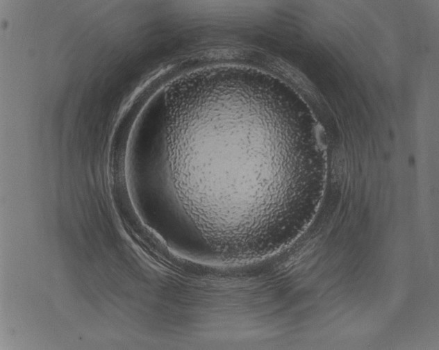 X0000075390722200609081229