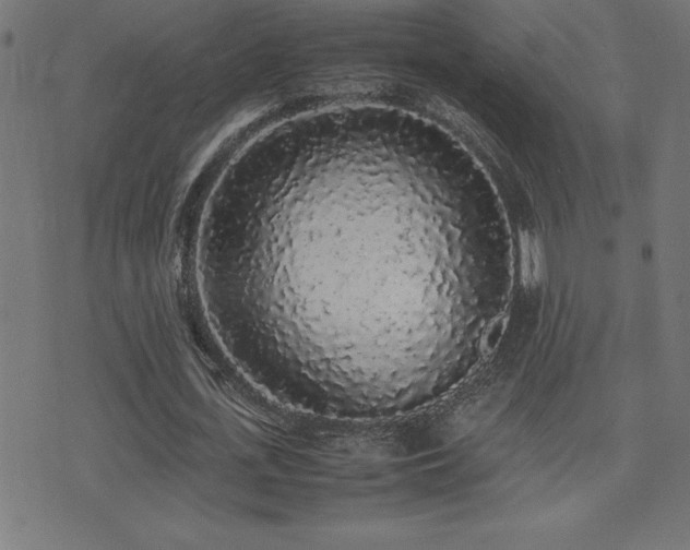 X0000075390723200609081229
