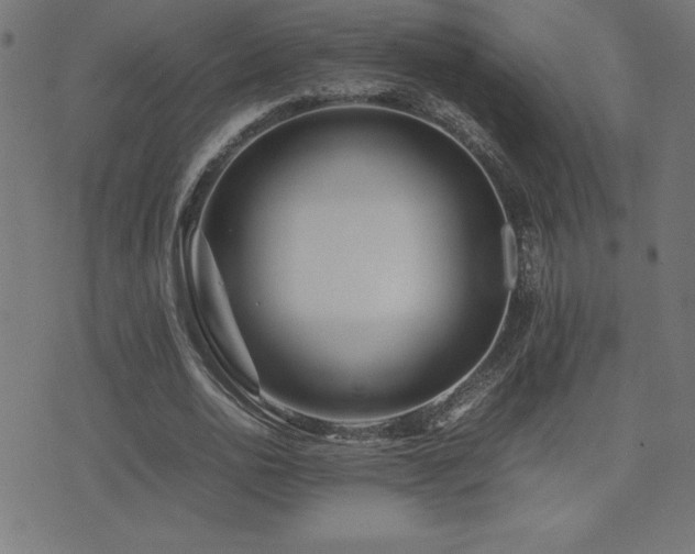 X0000075390726200609081229