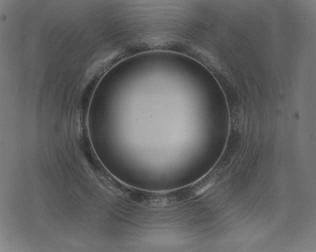 X0000075390740200609081229