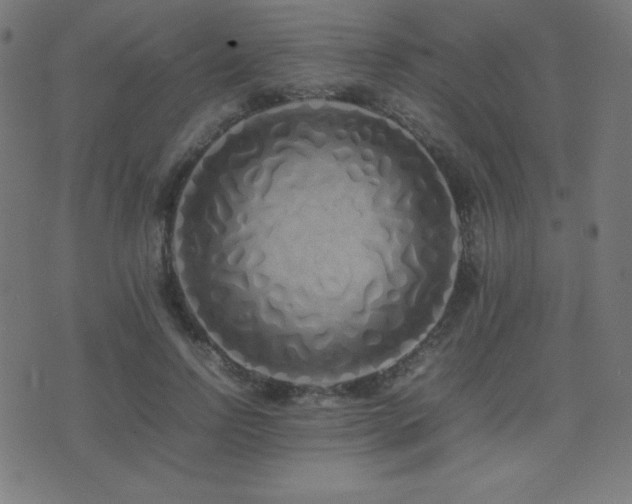 X0000075390742200609081229