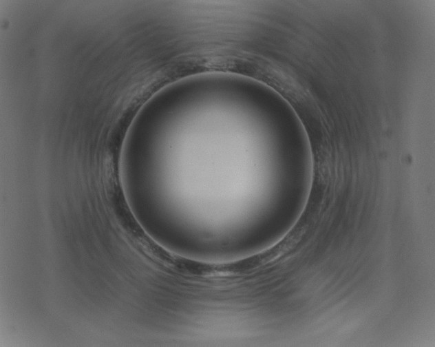 X0000075390748200609081229
