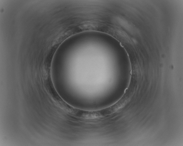 X0000075390751200609081229