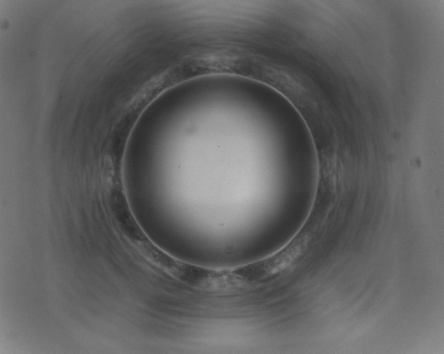X0000075390752200609081229