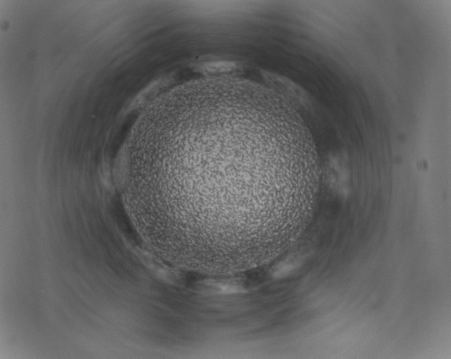 X0000075390763200609081230