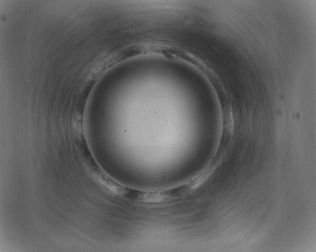 X0000075390766200609081230