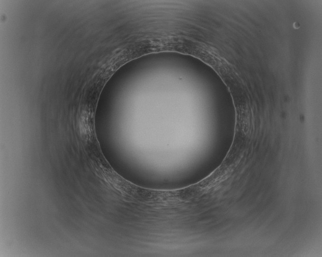 X0000075390770200609081229