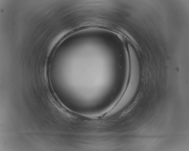 X0000075390788200609081229