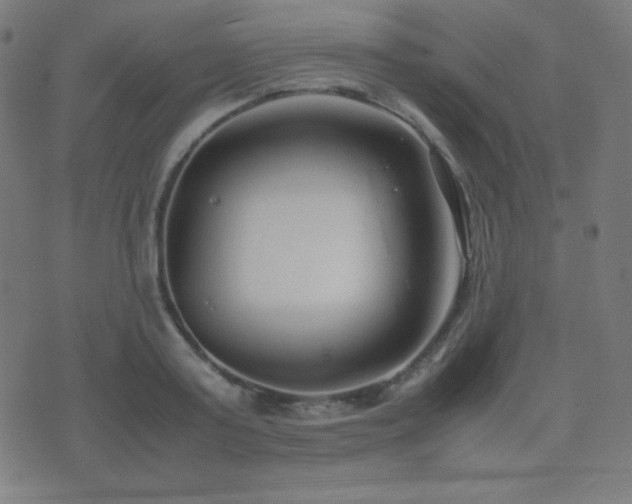 X0000075390795200609081229