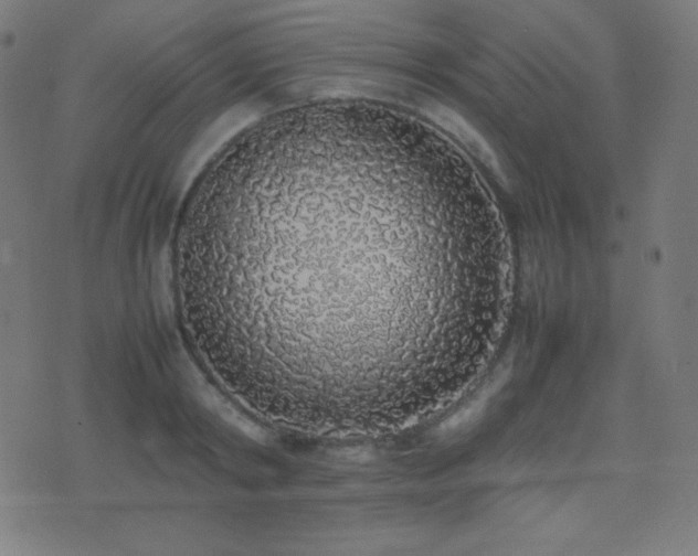 X0000075390798200609081228