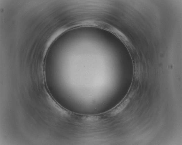 X0000075390808200609081228