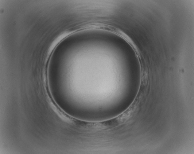 X0000075390811200609081228