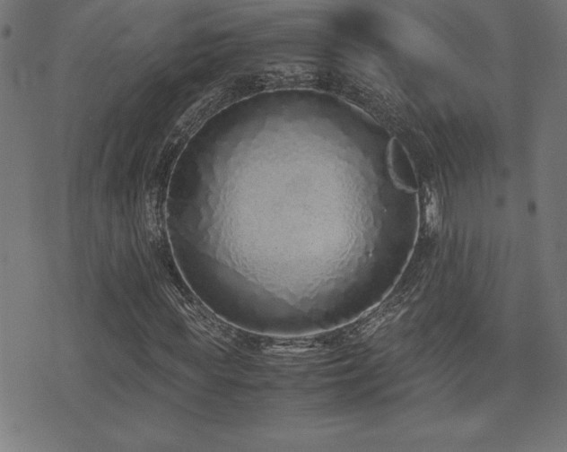 X0000075390819200609081227