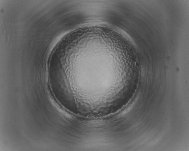X0000075390844200609081228