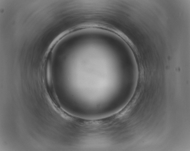 X0000075390862200609081228