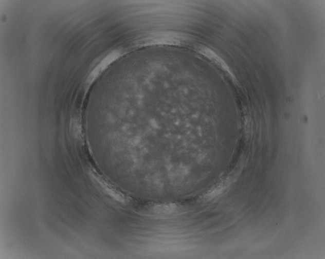 X0000075390882200609081227