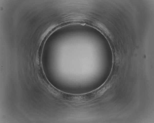 X0000075390883200609081227