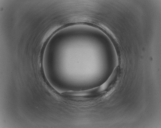 X0000075390885200609081227