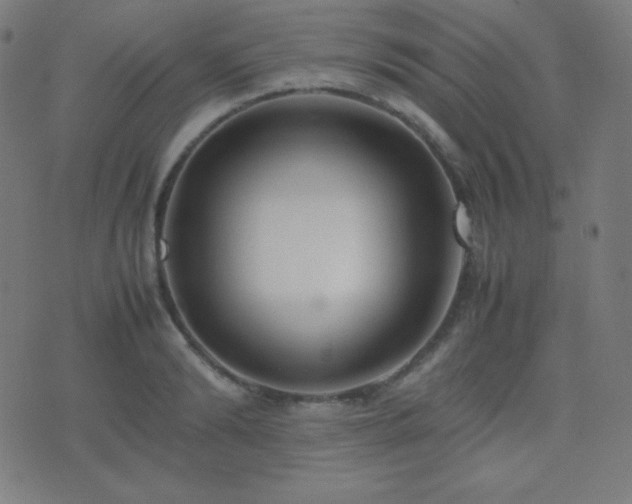 X0000075390894200609081227