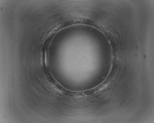 X0000075390916200609081226