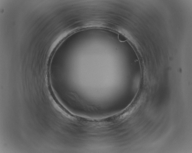 X0000075390941200609081226