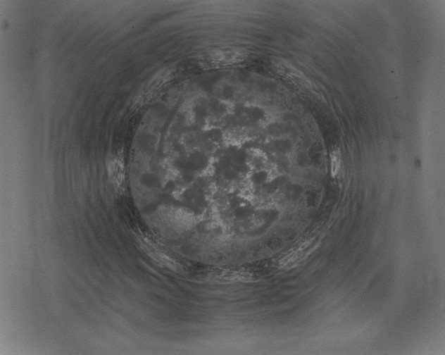 X0000075391011200609081224