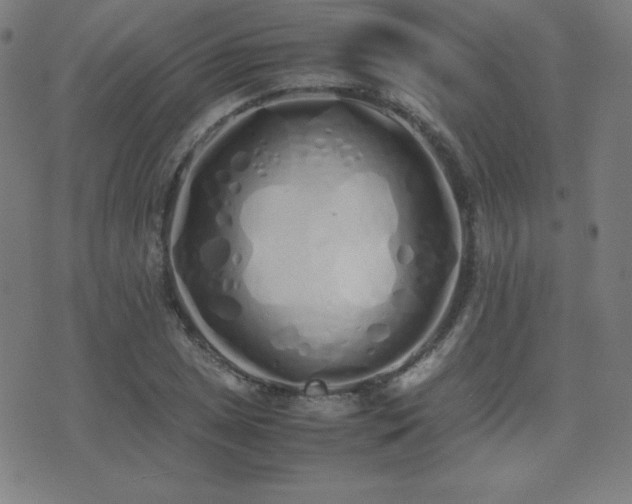 X0000075391025200609081225