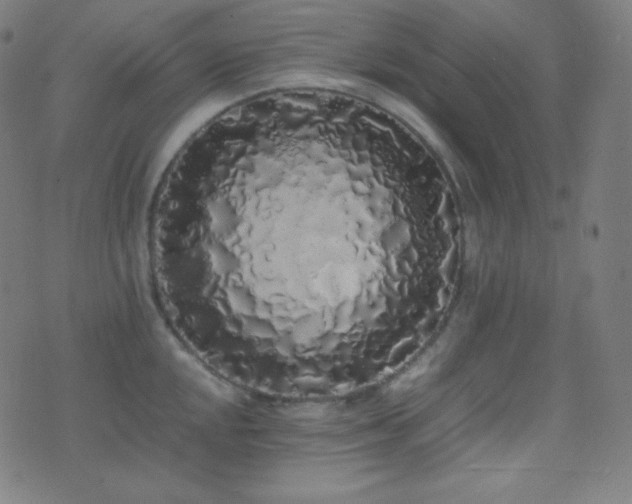 X0000075391048200609081225