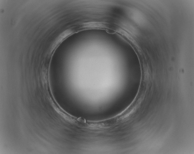 X0000075391049200609081225