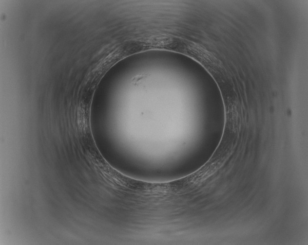 X0000075391058200609081224