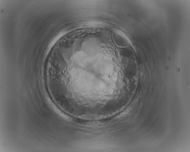 X0000075391091200609081224