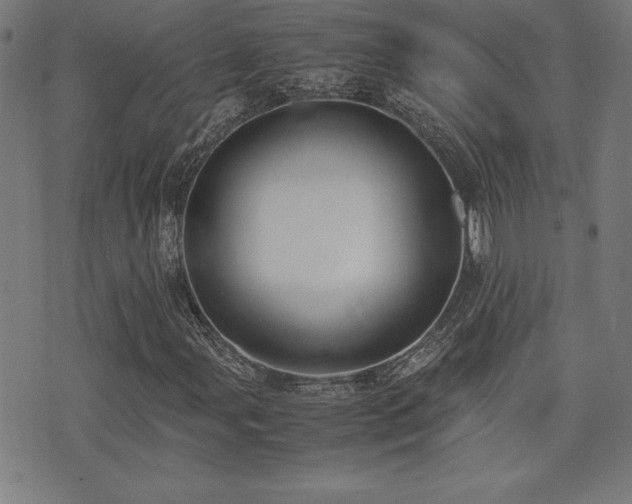X0000075391107200609081223
