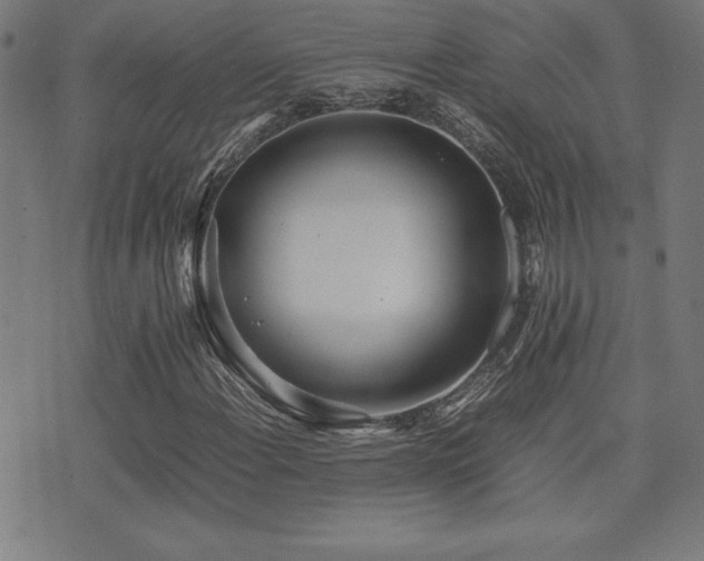X0000075391108200609081223