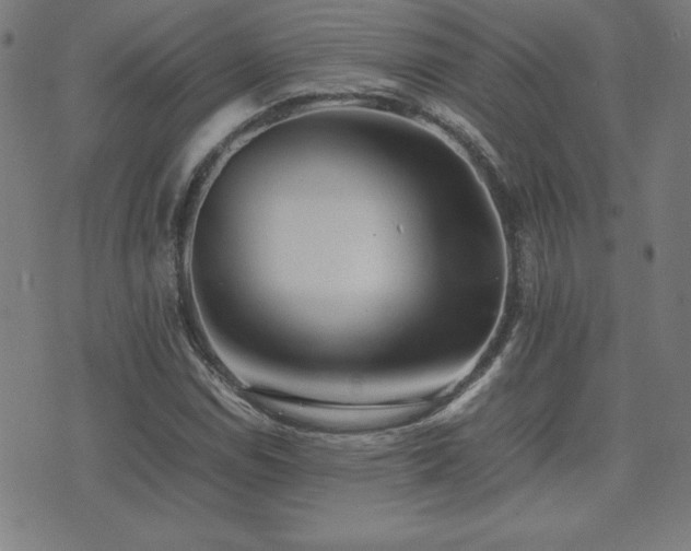 X0000075391114200609081223