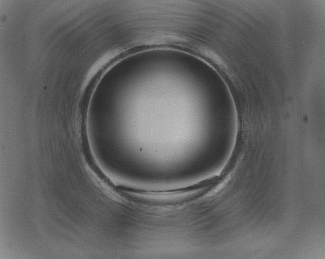 X0000075391122200609081223