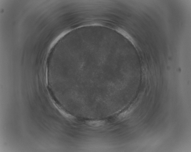 X0000075391127200609081223