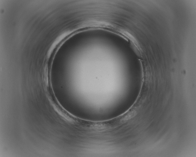 X0000075391128200609081223