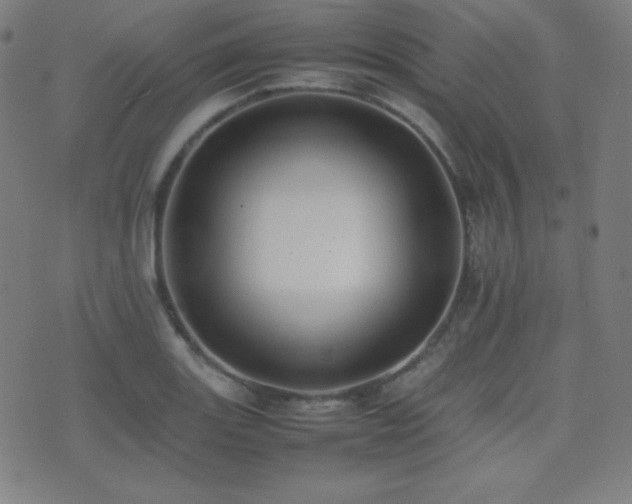 X0000075391131200609081223