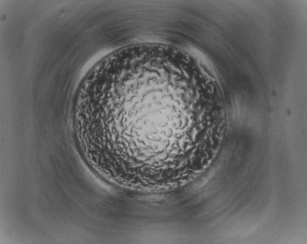 X0000075391141200609081223