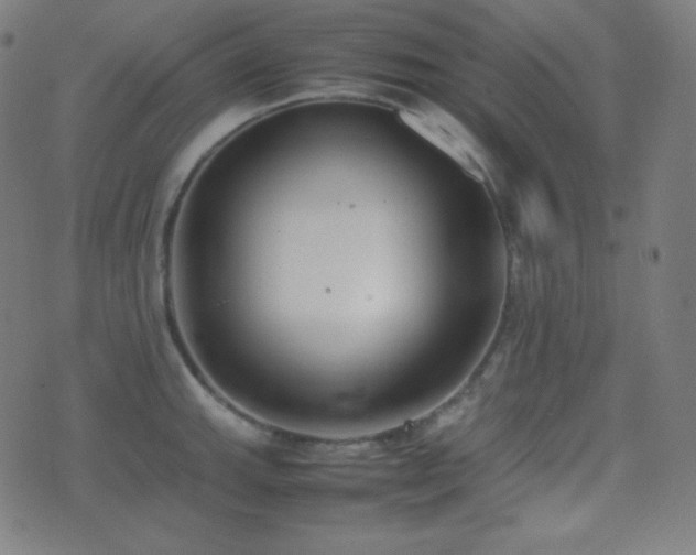X0000075391143200609081223