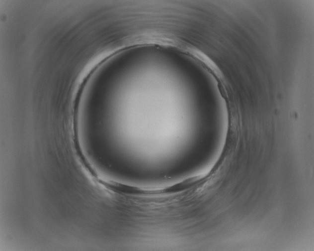 X0000075391144200609081223