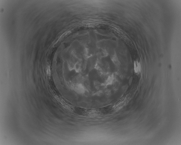 X0000075391155200609081223