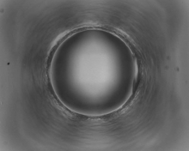 X0000075391168200609081222
