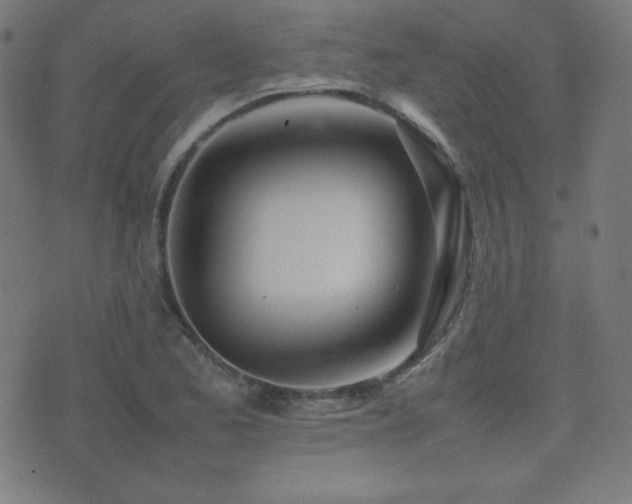 X0000075391173200609081222