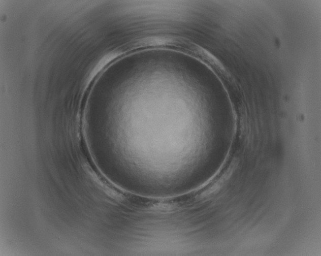 X0000075391178200609081222