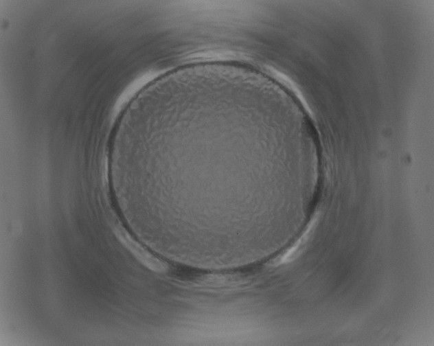 X0000075391179200609081222