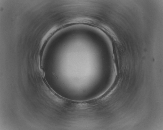X0000075391180200609081222