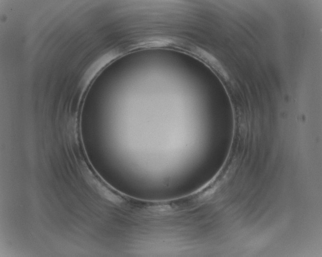 X0000075391186200609081222