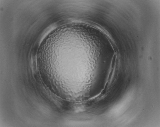 X0000075391198200609081222