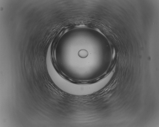 X0000075391202200609081221